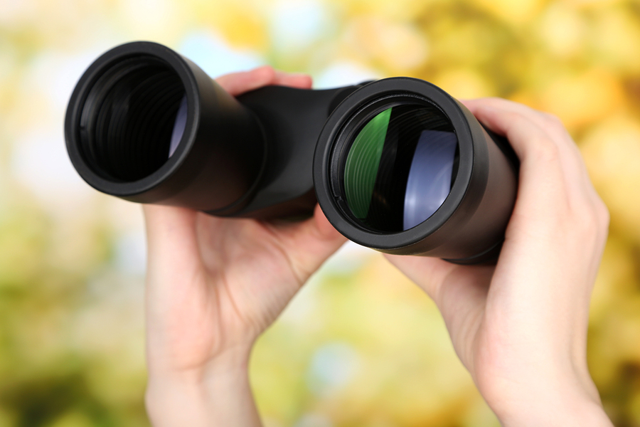 الست الفضولية - الفضول