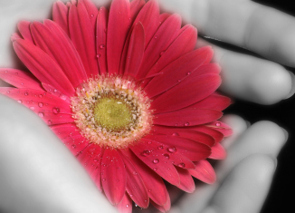 من أجل عطاء مستمر