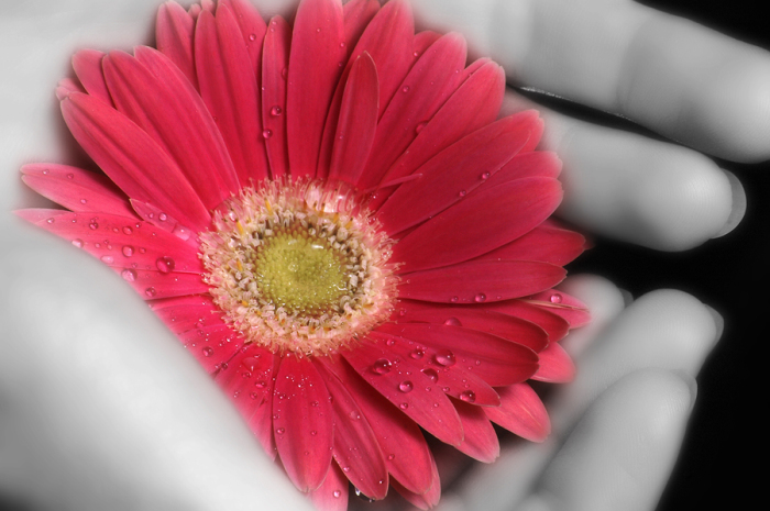 من أجل عطاء مستمر