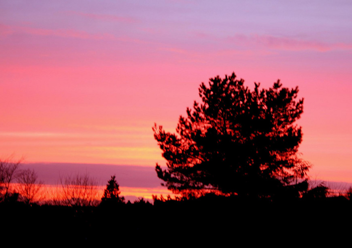 نصائح بعد يوم مرهق