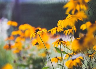 أخطاء تفعلها ترتكبها الزوجة الزوجات مشاكل الحياة الزوجية الخلافات