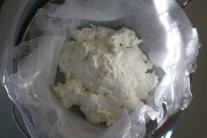 طريقة عمل جبن الريكوتا بالمنزل