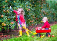 تعليم الطفل الرحمة